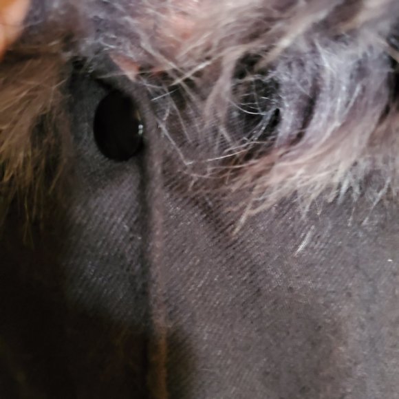 Eyeful Faux Fur Shawl Cape - Picture 3 of 7